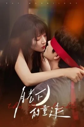 月光下的重逢