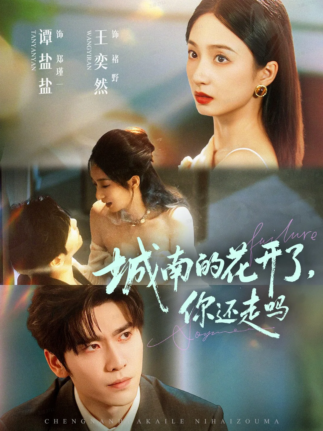 城南的花开了,你还走吗